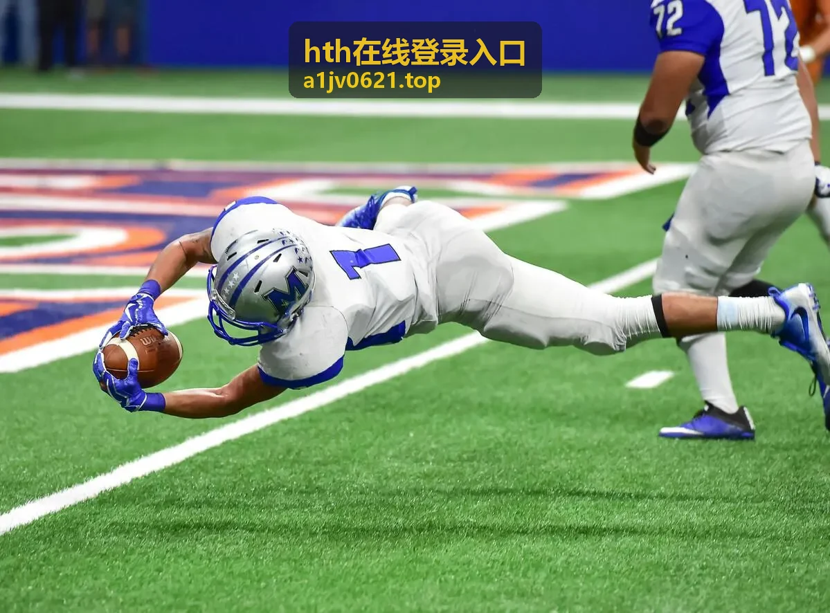hth在线登录入口会员专属客服通道说明
