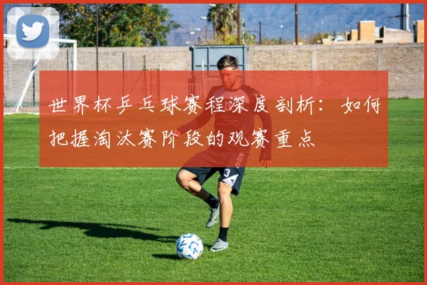 世界杯乒乓球赛程深度剖析：如何把握淘汰赛阶段的观赛重点